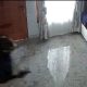 Aksi pencurian di rumah kosong yang ditinggal pemiliknya ke luar kota di Cilodong, Depok.