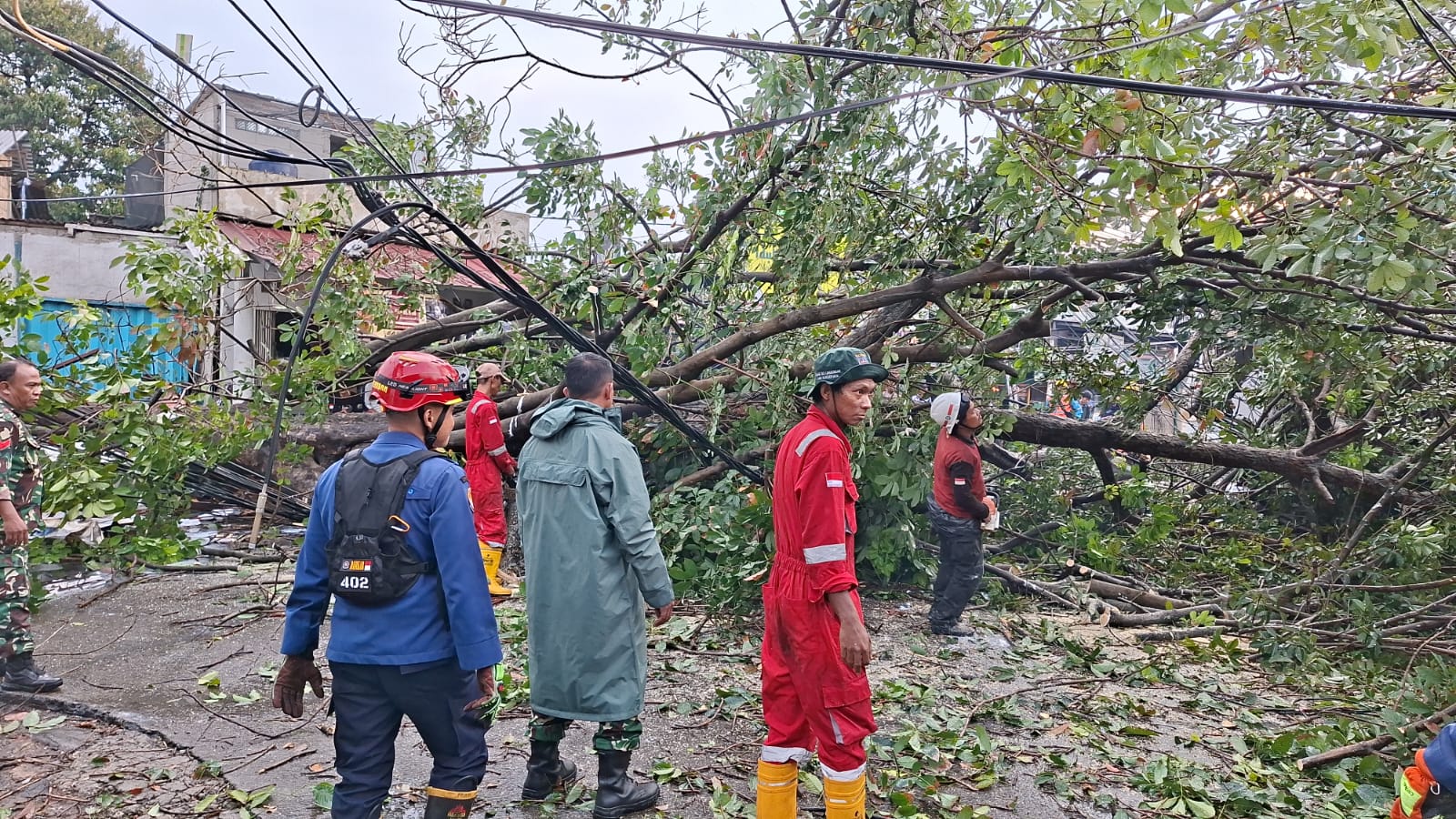 Pohon tumbang besar menutupi jalan dan menimpa bangunan di Curug Agung Depok