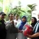 Mpok Nina dan Kadis DLHK Depok, dapat Pohon dari Komunitas Kopi