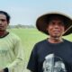 Petani Mundumesigit Cirebon gelisah akibat kelangkaan pupuk Phonska subsidi