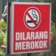 Kenaikan jumlah perokok anak di Indonesia berdasarkan data Kemenkes tahun 2025