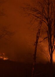 Wilayah Sumatera dan Kalimantan harus waspada Karhutla saat puncak kemarau di Agustus