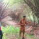 Pengerukan Sungai Singaraja menggunakan alat berat oleh BBWS Cimancis di Desa Tuk Karangsuwung, Cirebon.