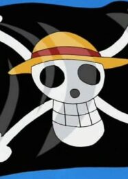 Menteri Pertahanan Sjafrie Sjamsoeddin memberikan tanggapan soal bendera One Piece di bawah Merah Putih