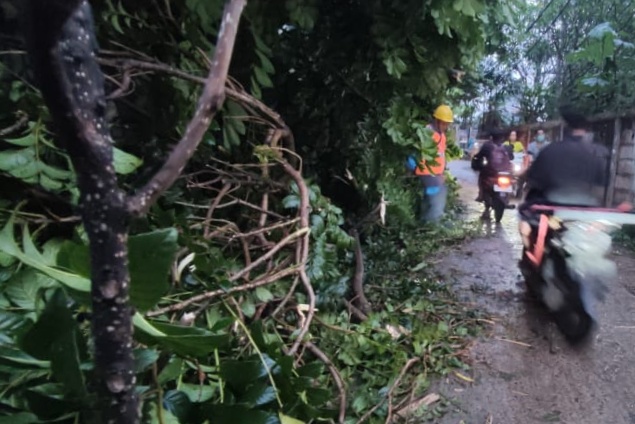 Hujan deras dan angin kencang menyebabkan pohon tumbang di Meruyung, Depok