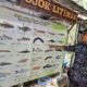 Jumlah spesies ikan di Sungai Ciliwung semakin berkurang