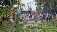 Puting beliung di Kota Depok sebarkan pohon tumbang dan kios UMKM berantakan