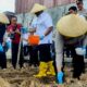 Program Ketahanan Pangan Daerah