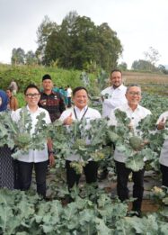 Panen brokoli dan telur ayam oleh Menko Pangan di rumah pangan PNM
