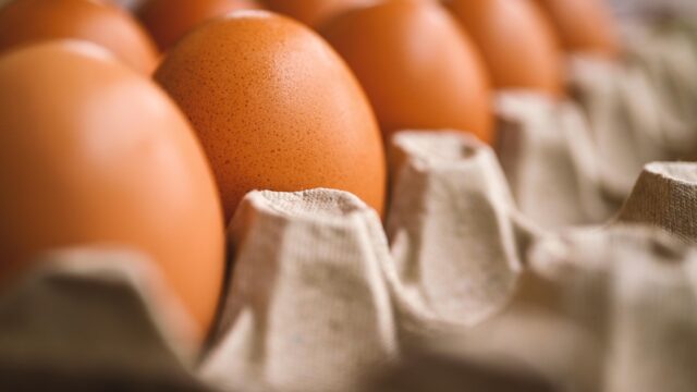 Kenaikan harga telur ayam di Depok