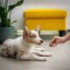 Rabies Center di Depok