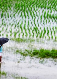 Antisipasi banjir untuk menjaga pangan nasional
