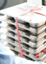 Operasional SPPG dihentikan BGN