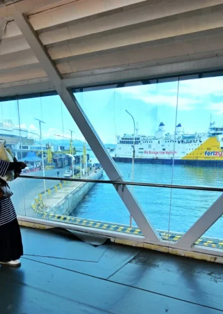 Arus balik jalur laut