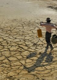 Kekeringan El Nino Godzilla