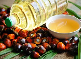 Minyak kelapa sawit solar