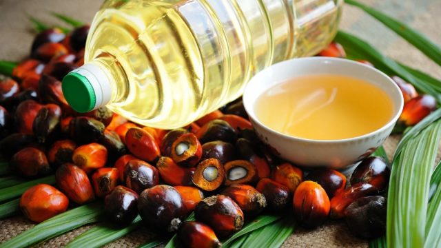 Minyak kelapa sawit solar