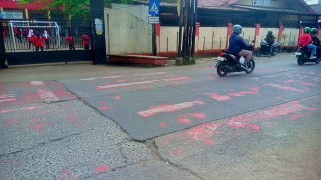 ZoSS SDN 1 Mampang Depok memudar