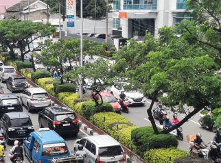 Penghijauan Kota Depok