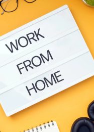 WFH karyawan swasta dan ASN