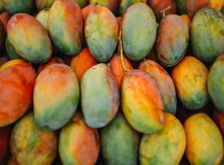 Olahan mangga reject