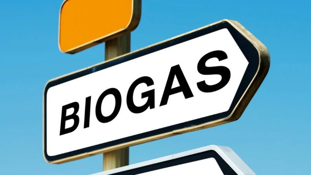 Dedi Mulyadi biogas