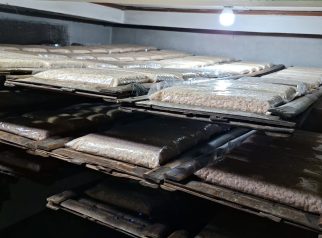 Pengrajin tempe Depok