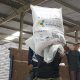 Harga pupuk bersubsidi