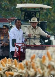 Ketahanan pangan Indonesia