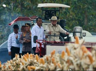 Ketahanan pangan Indonesia