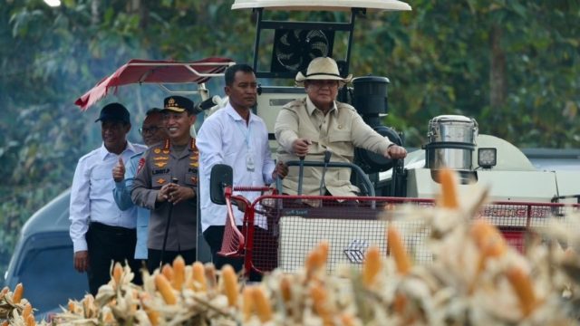 Ketahanan pangan Indonesia