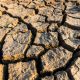 El Nino dan musim kemarau