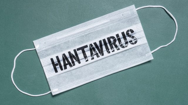 Hantavirus Kota Depok