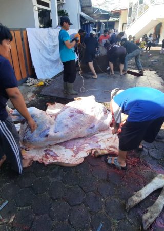 Hewan kurban PC LDII Pancoran Mas, Kota Depok
