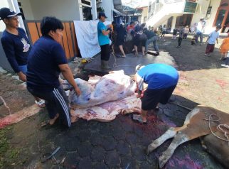Hewan kurban PC LDII Pancoran Mas, Kota Depok