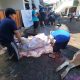 Hewan kurban PC LDII Pancoran Mas, Kota Depok