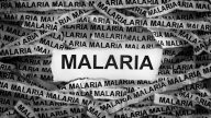 Malaria di Indonesia