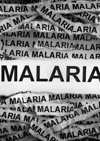 Malaria di Indonesia