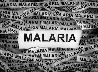 Malaria di Indonesia