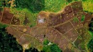 Plotting bidang tanah