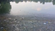 Situ Pladen, Kota Depok