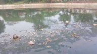 Situ Bahar Kota Depok