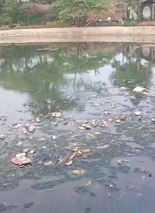 Situ Bahar Kota Depok