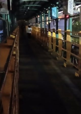 JPO Jalan Margonda Raya, Kota Depok